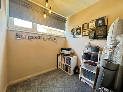 Picture 15